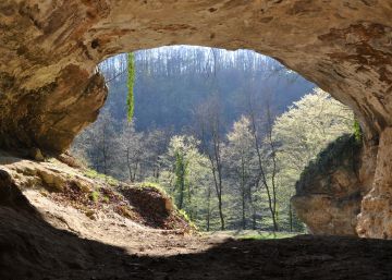 Una nueva técnica permitirá trazar el mapa de los humanos prehistóricos Una nueva técnica permitirá trazar el mapa de los humanos prehistóricos