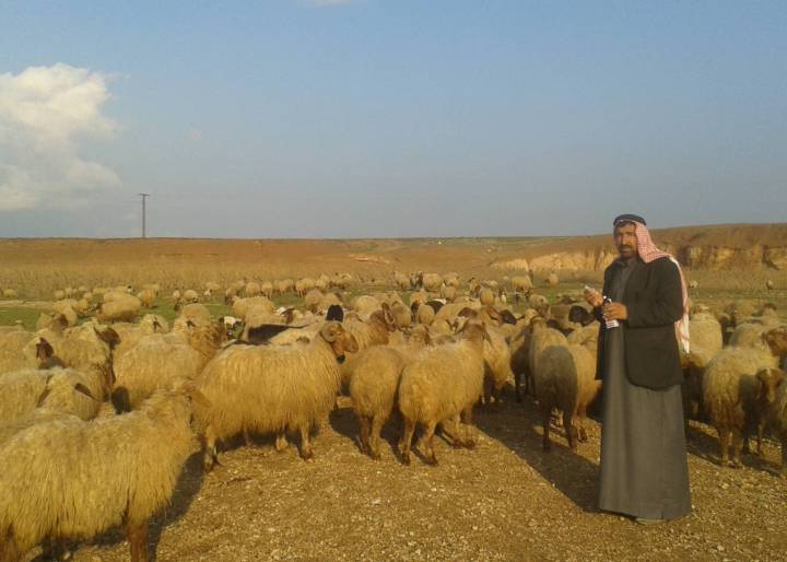 Mejor que pan para hoy: semillas para mañana Mejor que pan para hoy: semillas para mañana