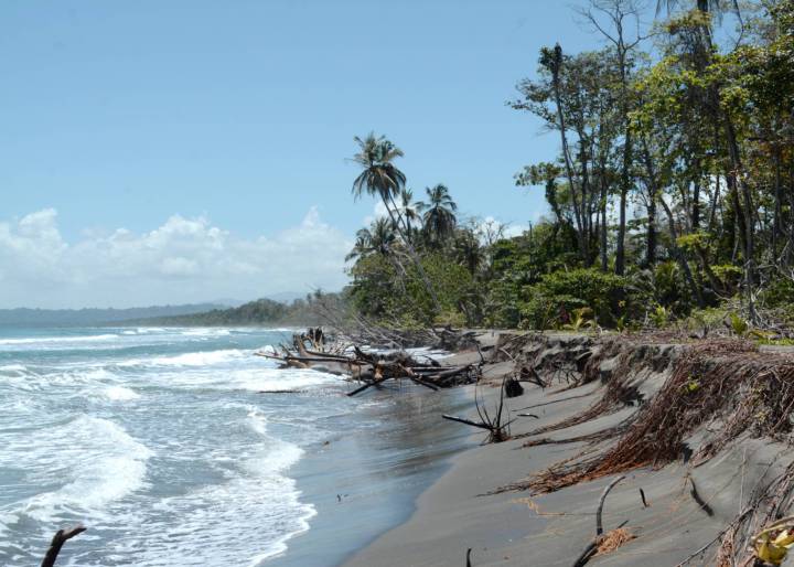Cuando el mar se ‘come’ la biodiversidad Cuando el mar se ‘come’ la biodiversidad