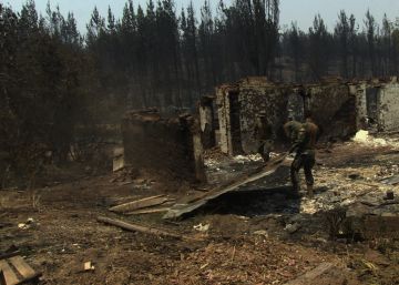 Los bosques de fuego