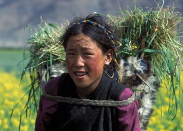 ¿El fin de la pobreza en China? ¿El fin de la pobreza en China?