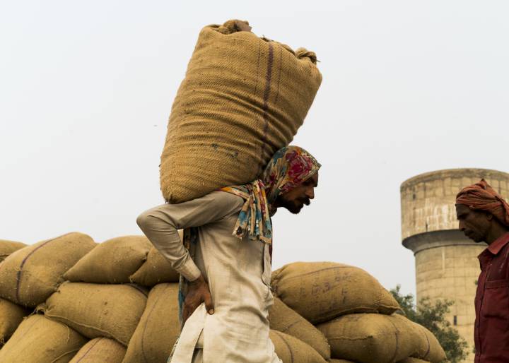 El basmati pasa factura El basmati pasa factura
