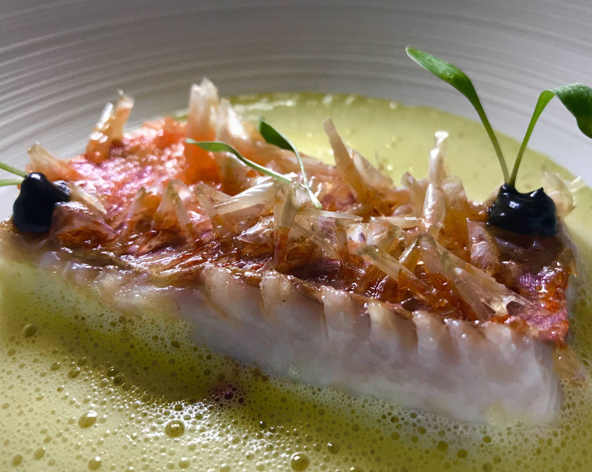 SALMONETE CON SUS ESCAMAS DE PETER KNOGL CAPEL