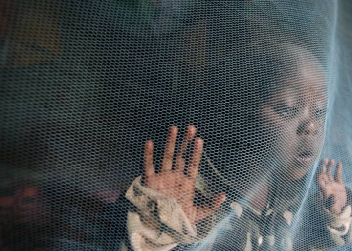 Día Mundial de la Malaria Día Mundial de la Malaria