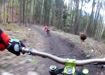 Dos ciclistas se ven sorprendidos por un oso en plena carrera