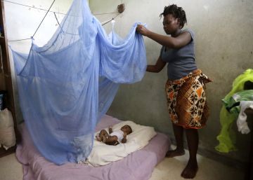 60 países tienen ya mosquitos de la malaria resistentes a insecticidas 60 países tienen ya mosquitos de la malaria resistentes a insecticidas