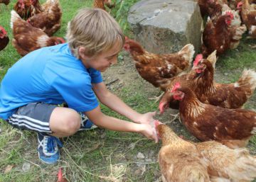 Campamentos de verano: ¿cómo escoger el mejor para mi hijo? Campamentos de verano: ¿cómo escoger el mejor para mi hijo?