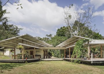Construir sin espantar a los pájaros Construir sin espantar a los pájaros