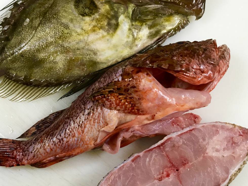 PESCADOS PARA LA SALMORRA CAPEL