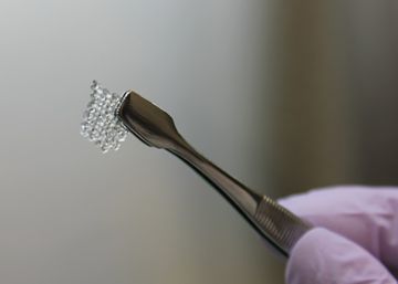 Ovarios impresos en 3D restauran la fertilidad en ratones