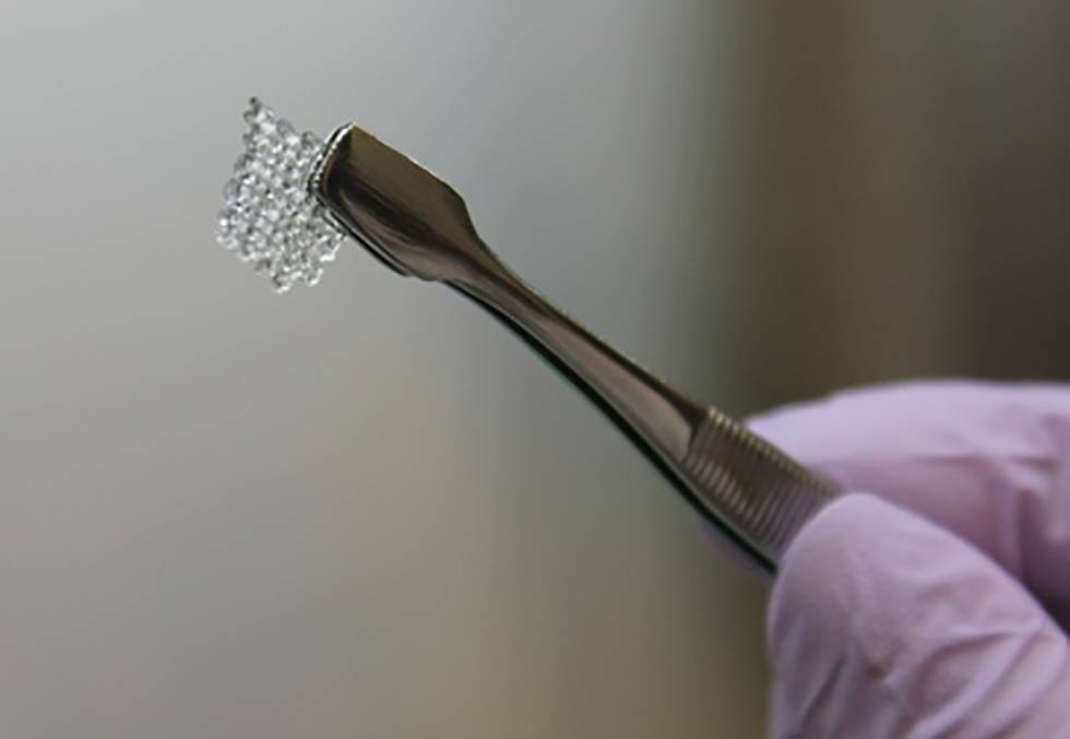Resultado de imagen para Ovarios impresos en 3D restauran la fertilidad en ratones