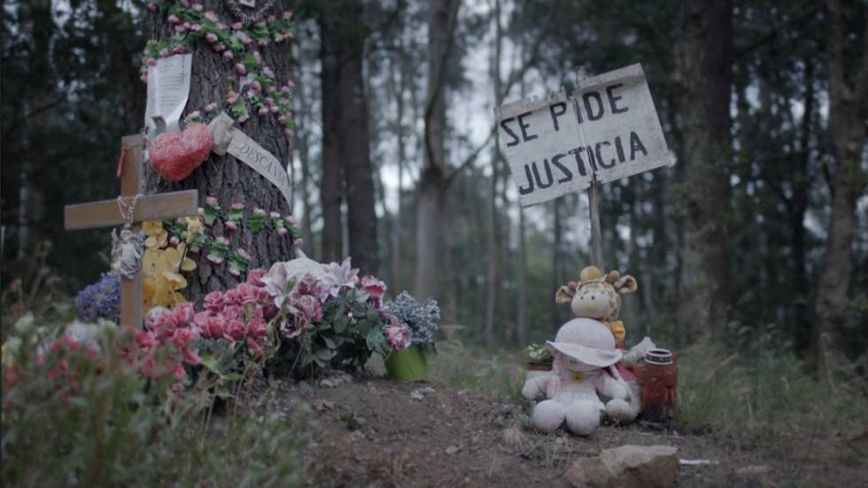 Elías León Siminiani, director de ‘El caso Asunta’: “Rosario habla de su hija con un nivel de dolor y amor que estremece”