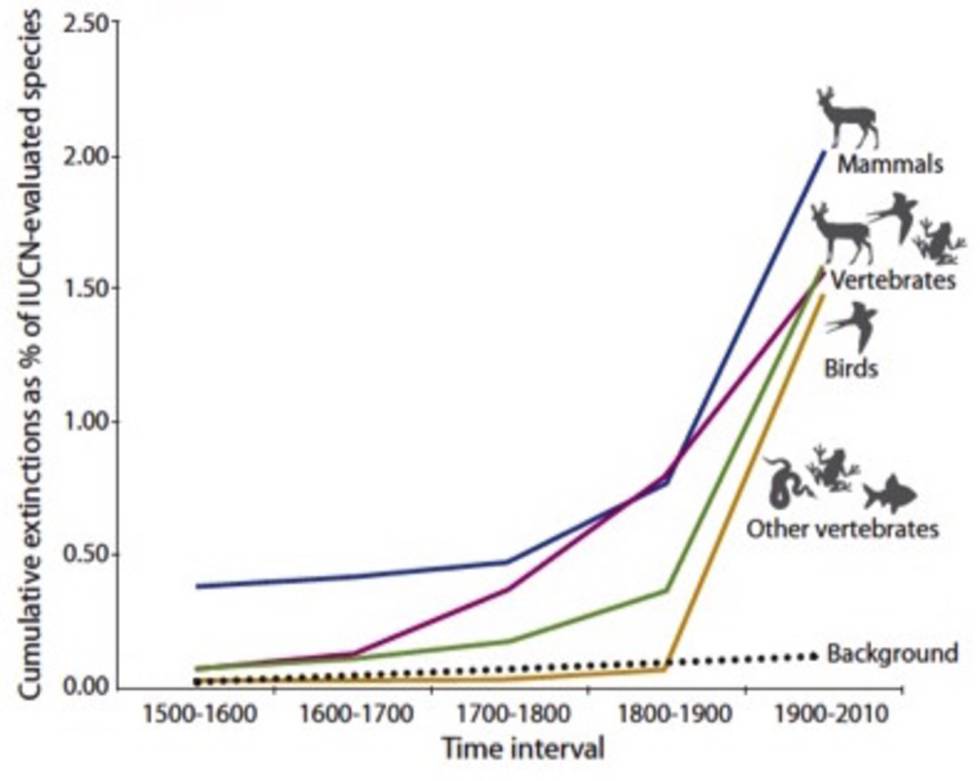 Extinción acumulada de especies de vertebrados desde 1500, en comparación con la tasa “de fondo” de pérdida de especies.