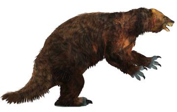 Perezosos gigantes terrestres como este Megatherium del tamaño de un elefante desaparecieron poco después de la llegada de los humanos al Nuevo Mundo.