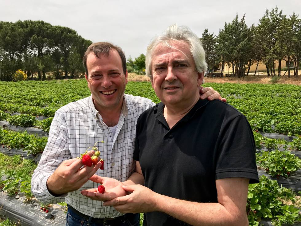 HUGO VELA Y CHRISTOPHE PAIS CAPEL