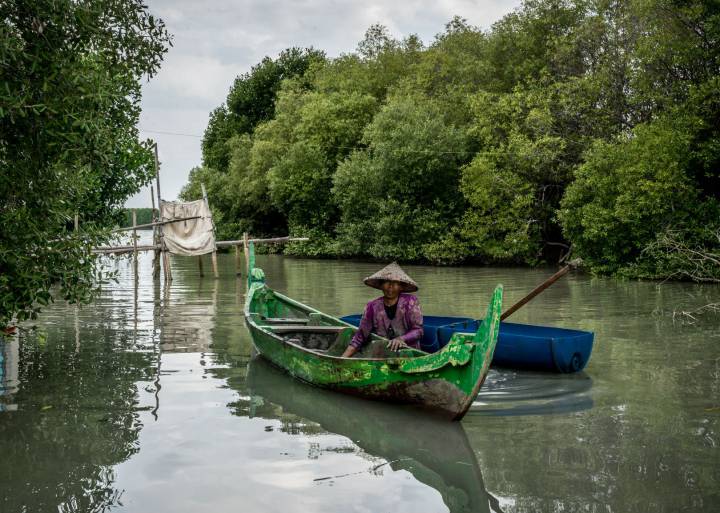 Por un puñado de gambas Por un puñado de gambas