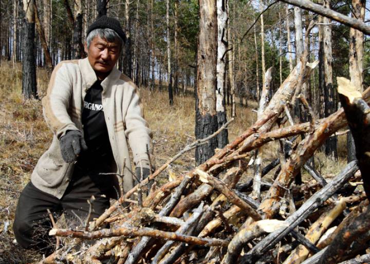 Raíces fuertes contra el cambio climático Raíces fuertes contra el cambio climático