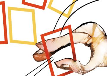 Això va de democràcia