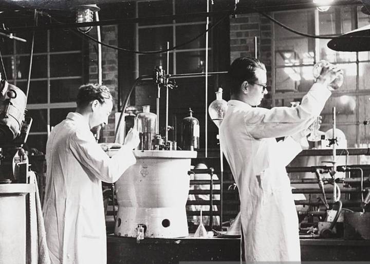 La victoria de las bacterias La victoria de las bacterias