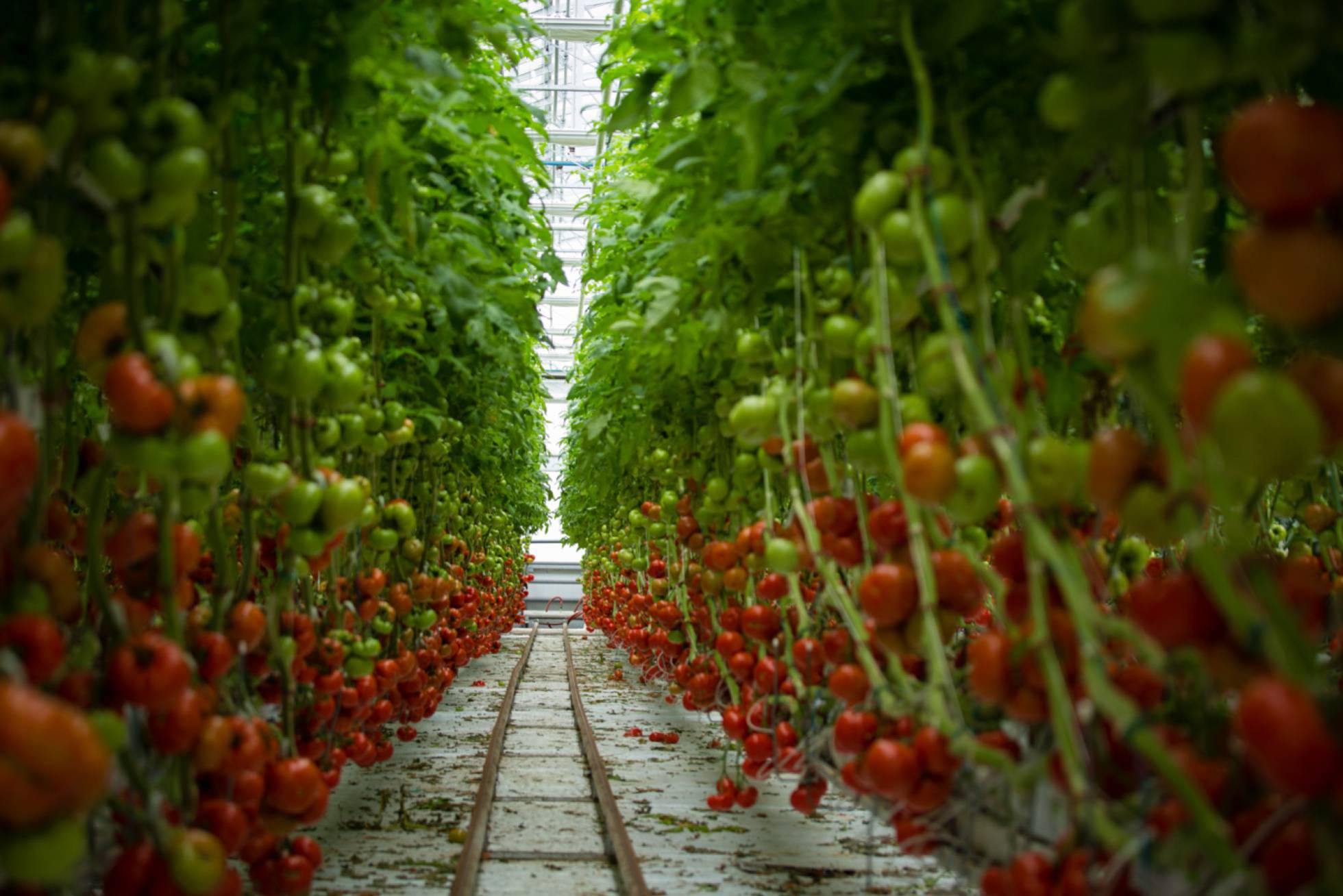 14 reportajes para mirar a África más allá de los tópicos