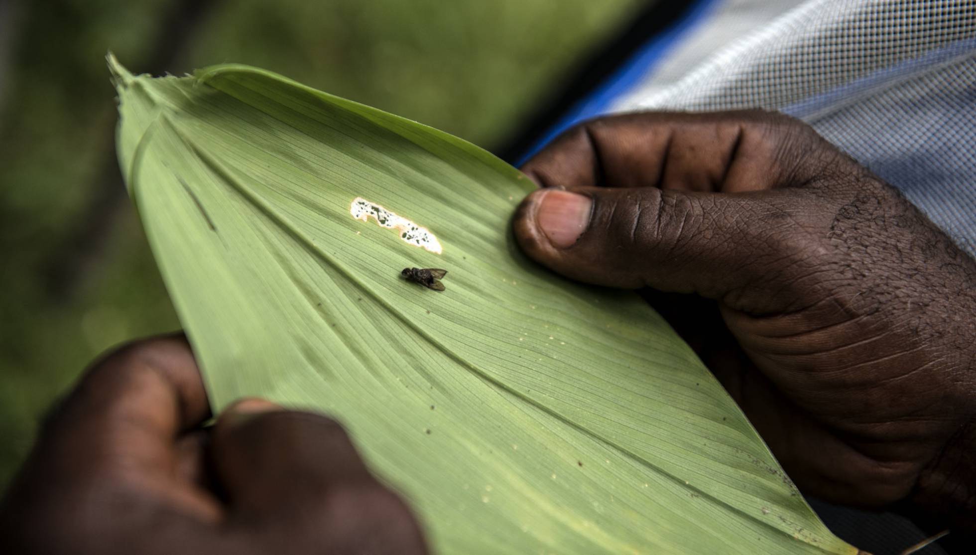 14 reportajes para mirar a África más allá de los tópicos
