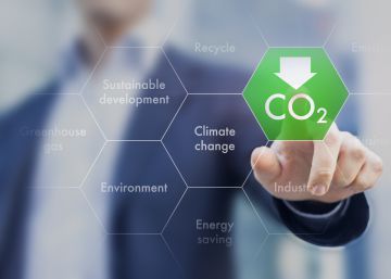 Los que luchan contra el cambio climático (y no son ONG) Los que luchan contra el cambio climático (y no son ONG)