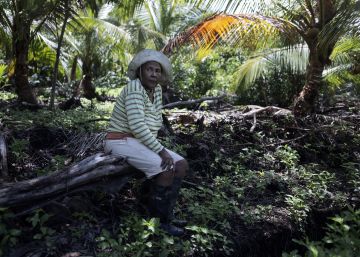 Chochos, cocos y cacao con un toque español Chochos, cocos y cacao con un toque español