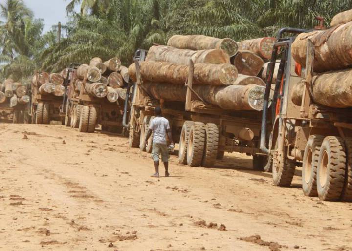 Justicia para Liberia Justicia para Liberia