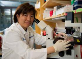 La joven informática que quiere revolucionar el sistema de trasplantes español