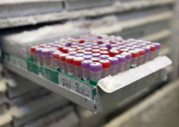 Los genes y el destino Los genes y el destino
