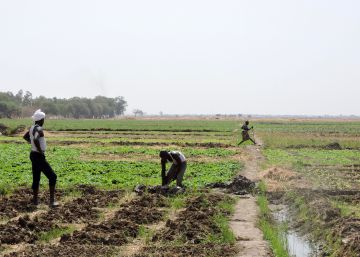 Campesinos, los pobres de siempre