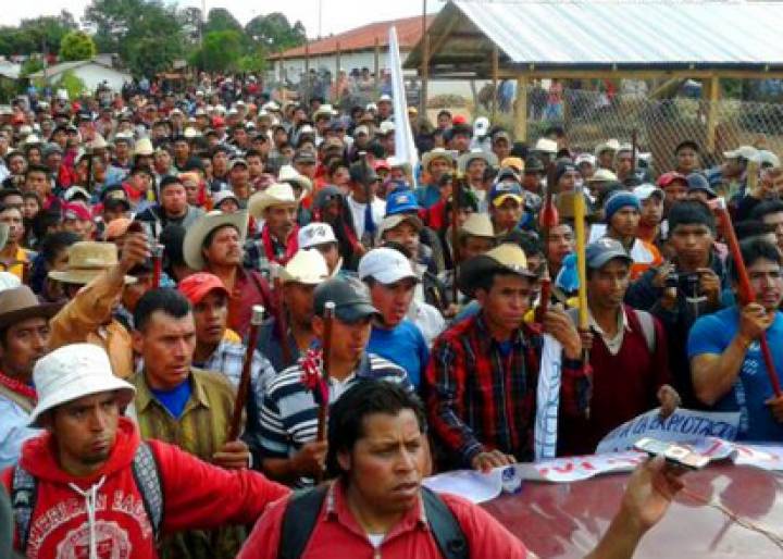 Campesinos contra multinacionales Campesinos contra multinacionales