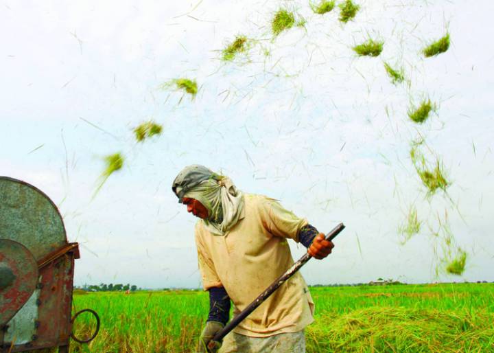 No por mucho producir se termina la pobreza No por mucho producir se termina la pobreza