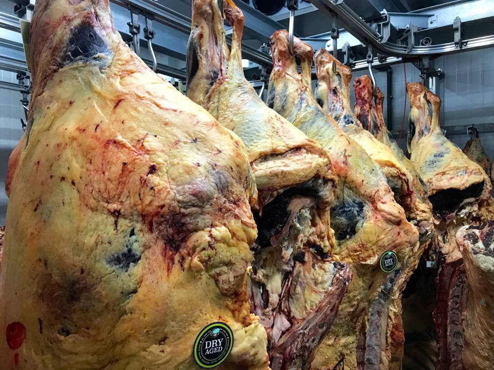 MADURACIONES EN SECO. RUBIA GALLEGA CAPEL