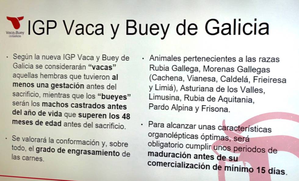 DETALLES DE LA NUEVA IGP VACA Y BUEY DE GALICIA CAPEL