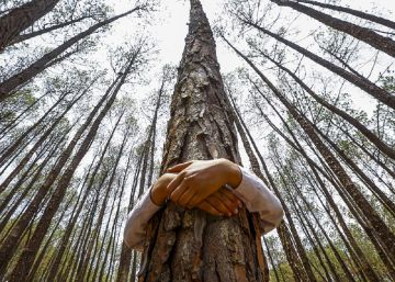 El Día Mundial del Medio Ambiente: conectar a las personas con la naturaleza