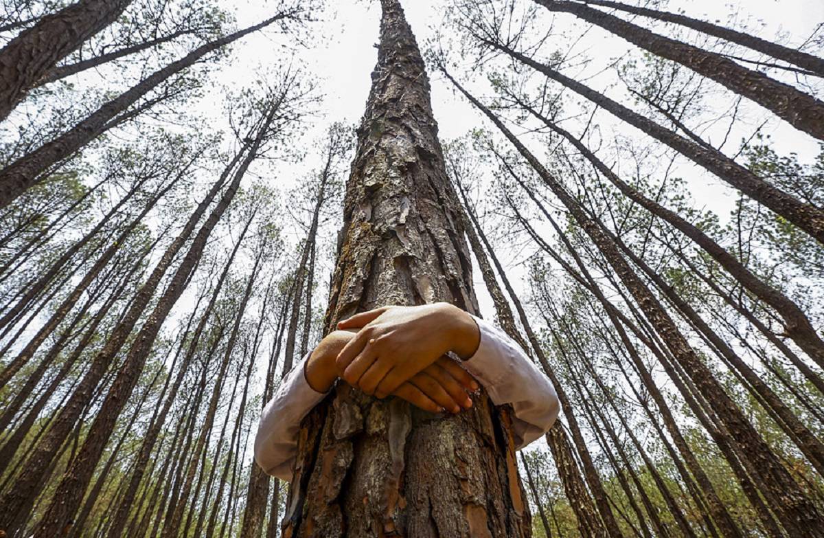 El Día Mundial del Medio Ambiente: conectar a las personas con la naturaleza