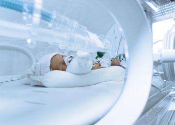 Crean el primer diccionario ilustrado sobre neurología neonatal para padres con niños hospitalizados Crean el primer diccionario ilustrado sobre neurología neonatal para padres con niños hospitalizados