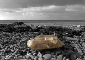 Las reservas marinas protegidas ayudan a frenar el cambio climático