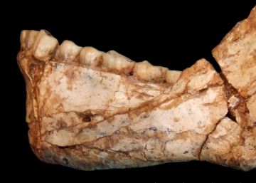 Hallados en Marruecos los restos de los primeros 'Homo sapiens'