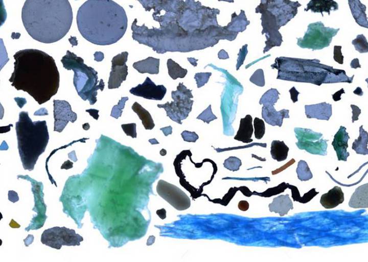 El plástico que tiramos llega hasta el círculo polar El plástico que tiramos llega hasta el círculo polar