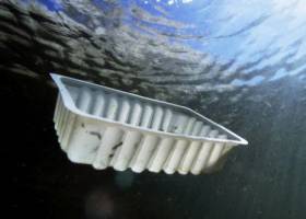 Los océanos acumulan siete millones de toneladas de basura marina al año