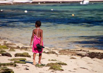 Las pequeñas islas se hacen mayores Las pequeñas islas se hacen mayores