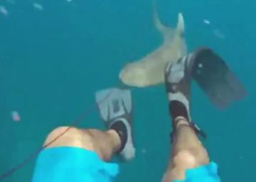 Un hombre graba cómo un tiburón le muerde la pierna Un hombre graba cómo un tiburón le muerde la pierna