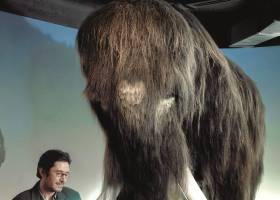 El planeta está perdiendo su biodiversidad más rápido de lo que creía