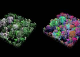 El planeta está perdiendo su biodiversidad más rápido de lo que creía
