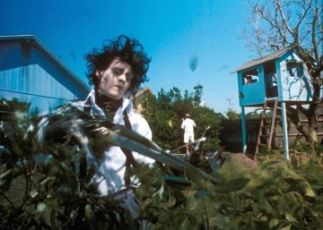 Diez plantas bonitas de interior a prueba de asesinos de plantas