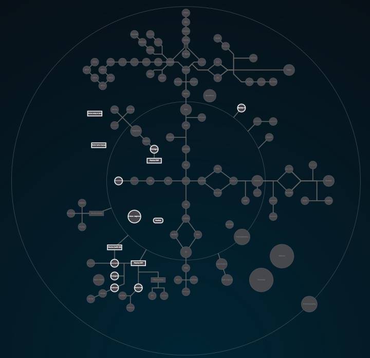Gráfico do progresso acadêmico de cada estudante.