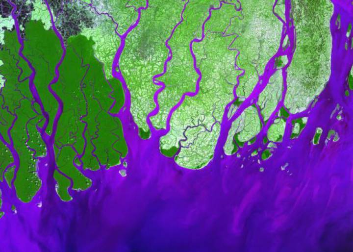 Los grandes deltas del mundo sufrirán mayores inundaciones Los grandes deltas del mundo sufrirán mayores inundaciones