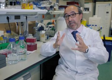 El mejor centro de investigación del cáncer pierde 2,5 millones por despedir a un científico El mejor centro de investigación del cáncer pierde 2,5 millones por despedir a un científico
